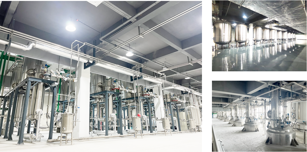 6165cc金沙总站(China)检测有限公司-BinG百科