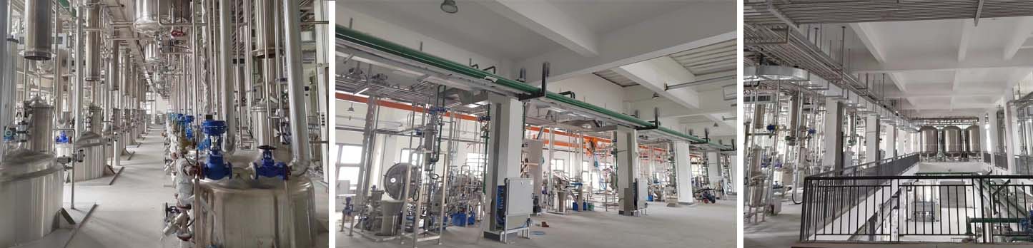 6165cc金沙总站(China)检测有限公司-BinG百科